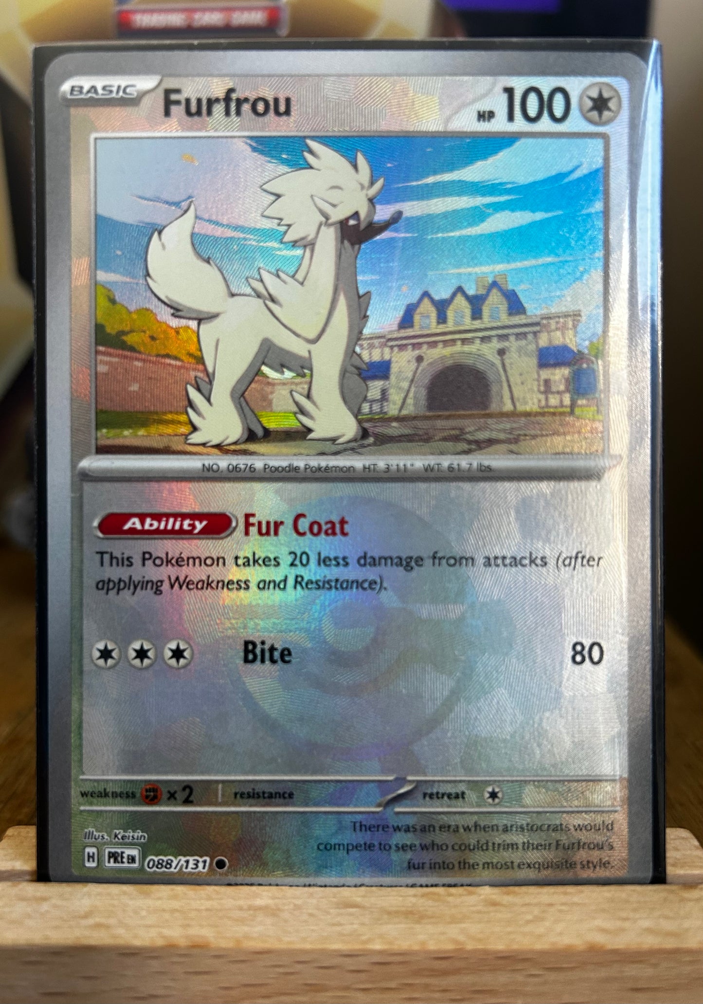 Furfrou Pokeball Pattern