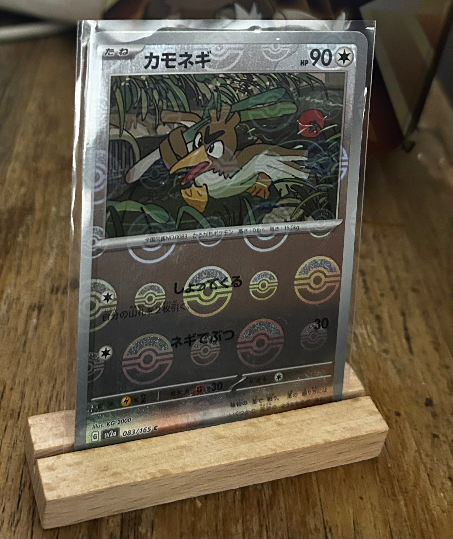 Far Fetch'd Pokeball Pattern (Japanese)