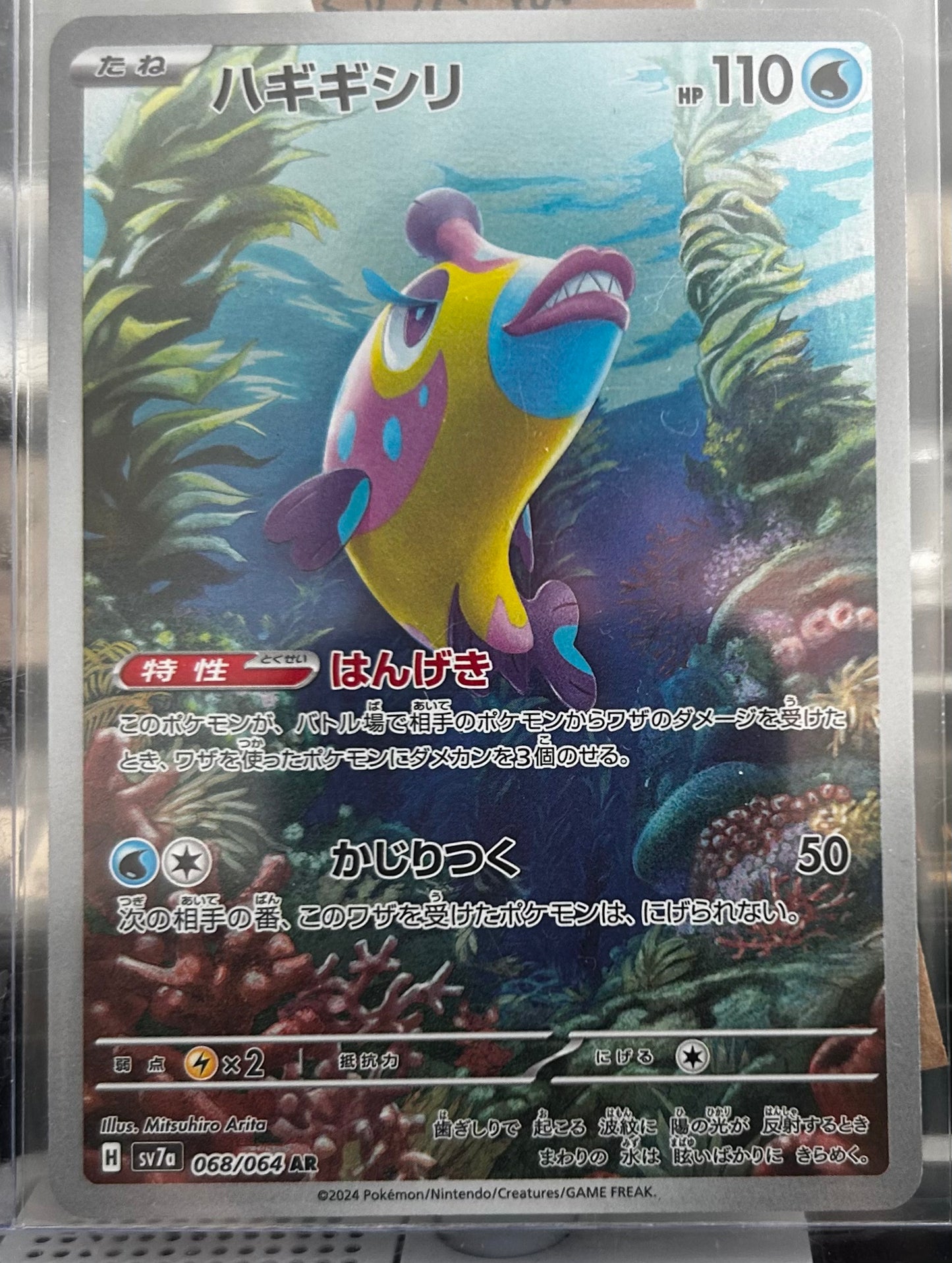 Bruxish AR (Japanese)
