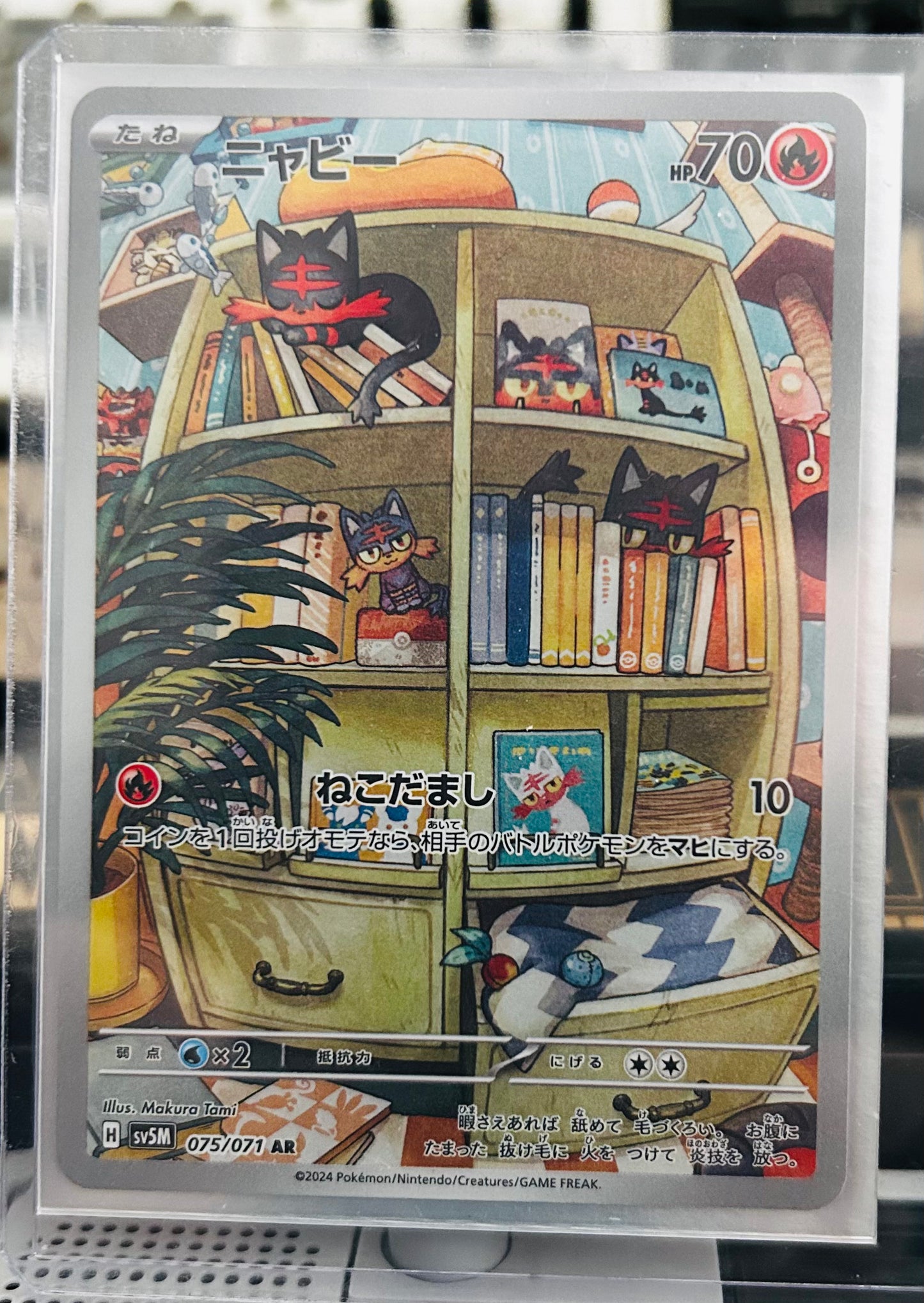 Litten AR
