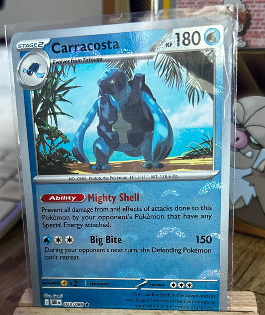 Carracosta Pokeball Pattern