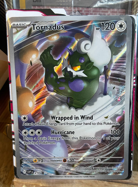 Tornadus Promo - Still sealed with White Flare Dividers