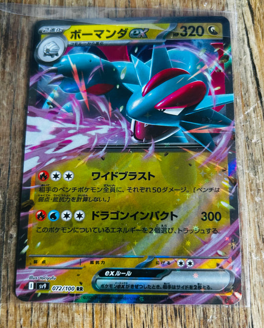 Pokemon Salamence ex RR (Japanese)